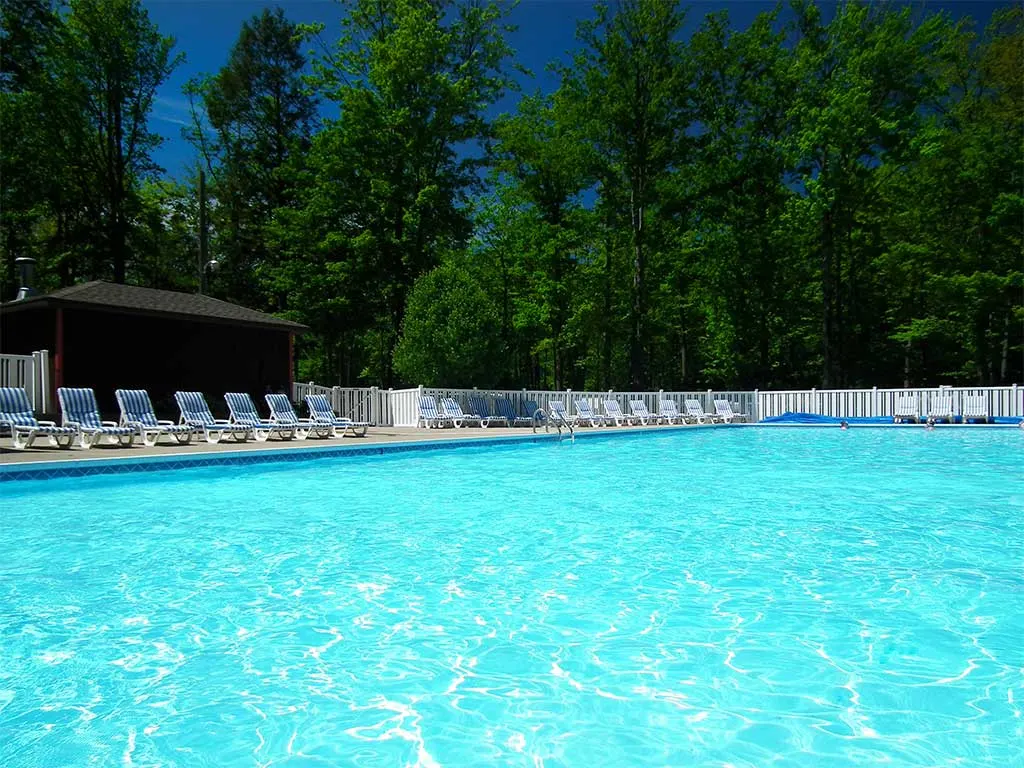 The Dune Town pool with lounge chairs and tall trees behind it