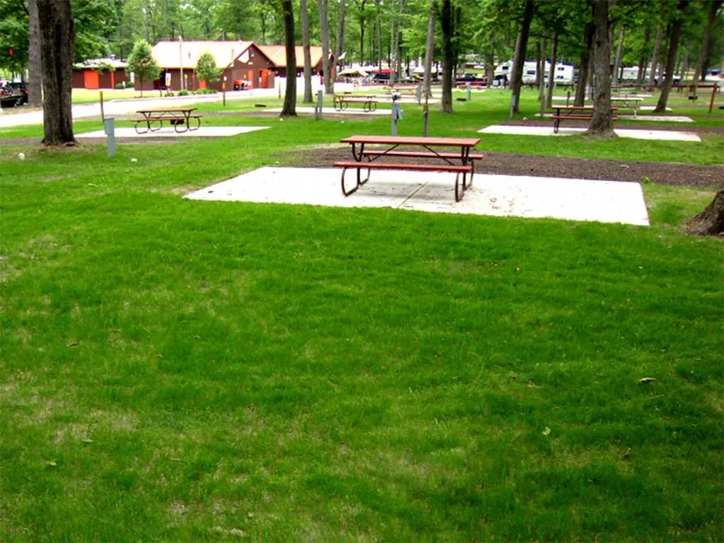 Campsite with a cement patio slab and picnic table