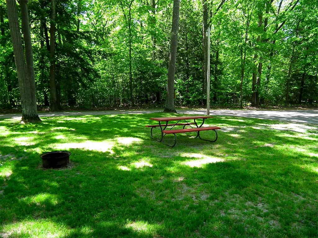 Shaded grassy water and electric campsite with a picnic table
